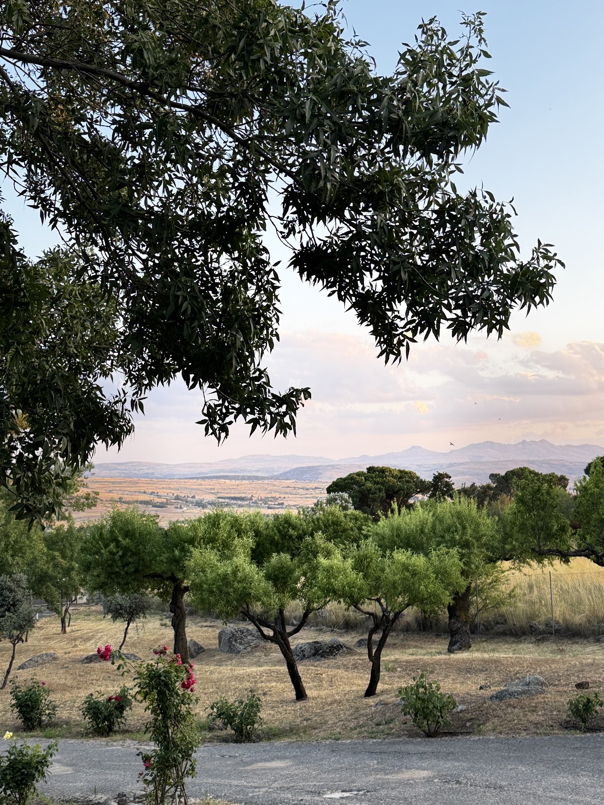 La Casita de Madera - Foto 4