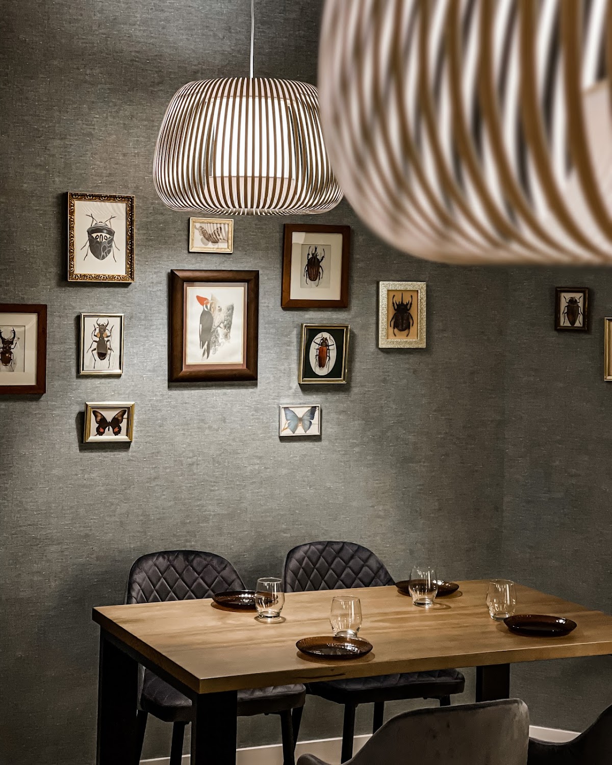 Maraca Las Palmas - Taberna Viajera - Foto 1