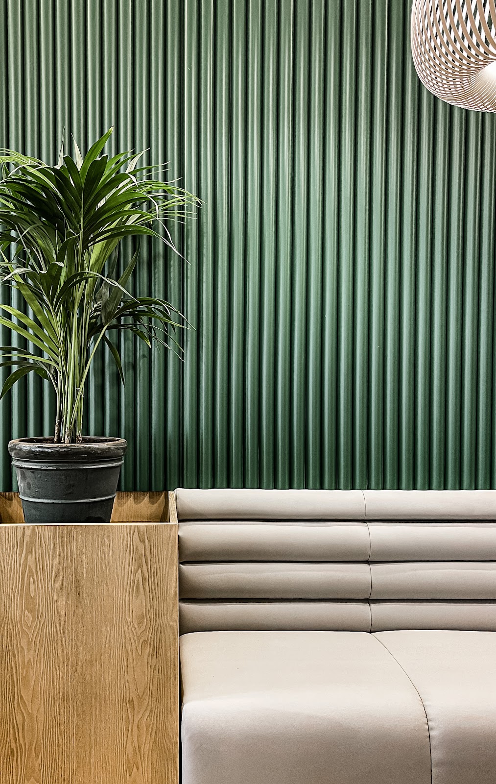 Maraca Las Palmas - Taberna Viajera - Foto 3