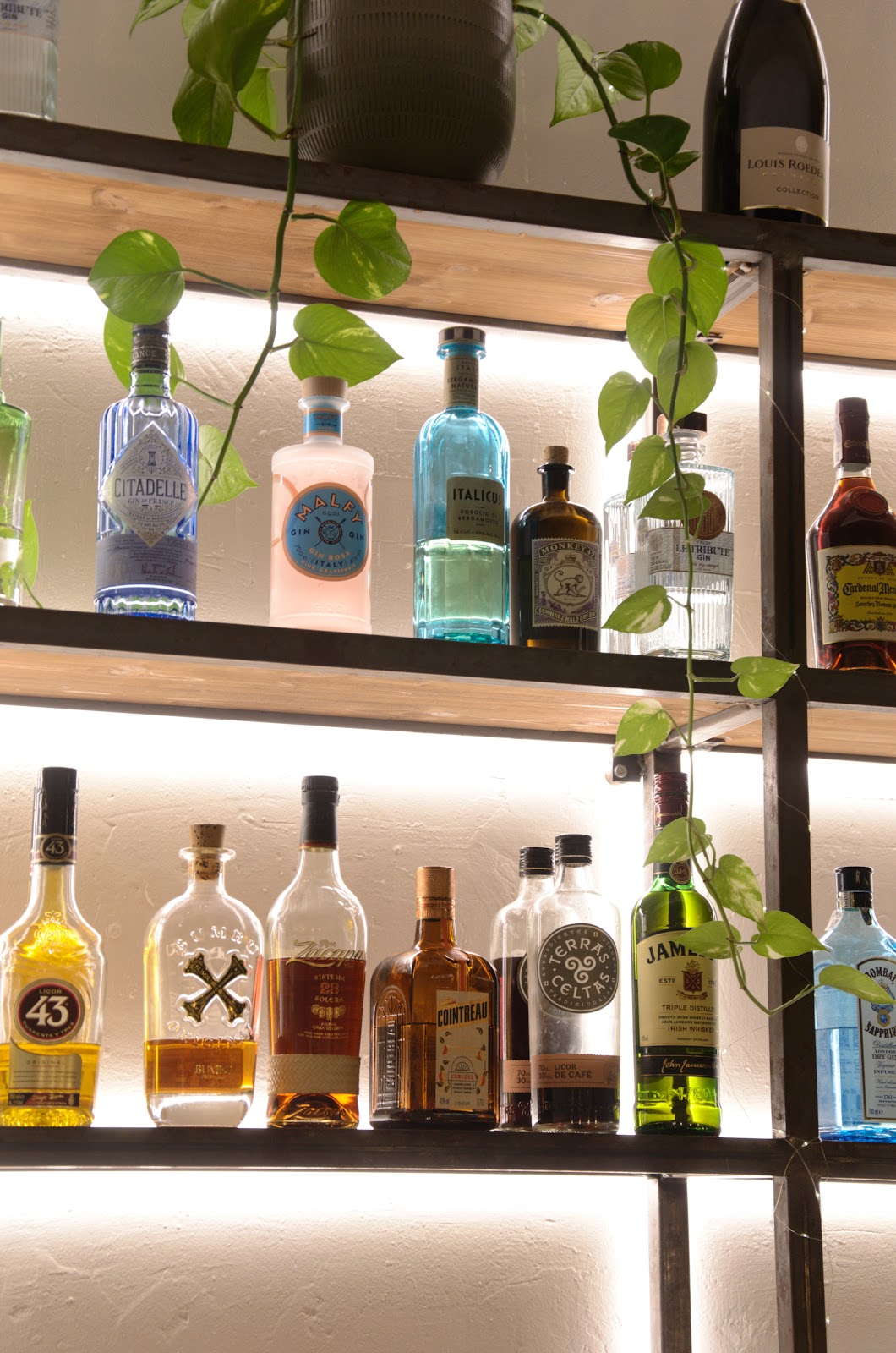 BAR ROSA BARCELONA - Foto 2