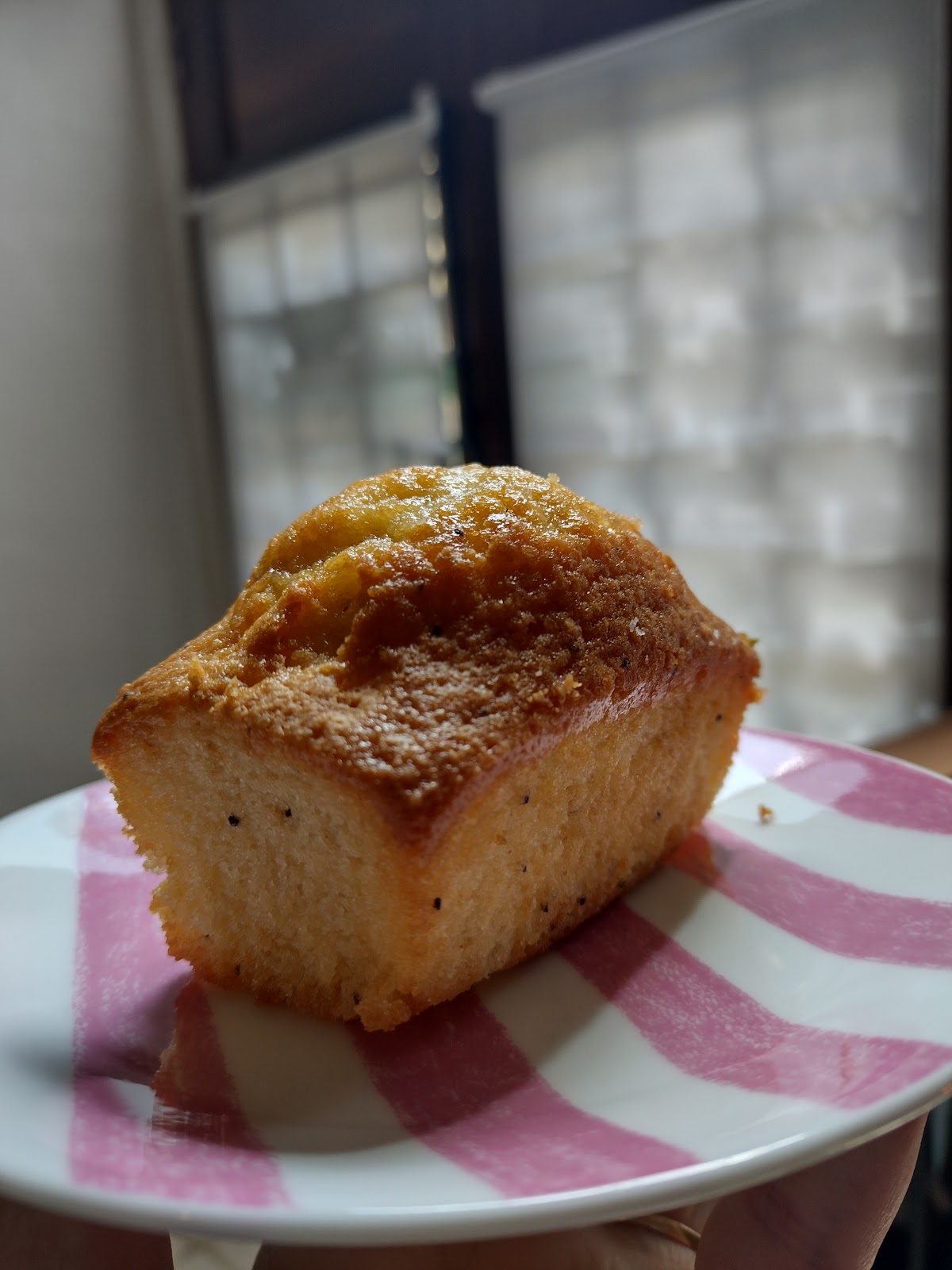 Slow Coffee Tenerife ( Specialty Coffee Roasters ) - Foto 4