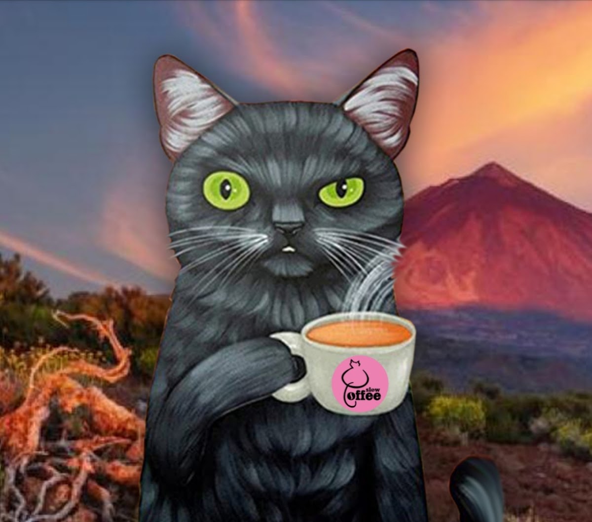 Slow Coffee Tenerife ( Specialty Coffee Roasters ) - Foto 5