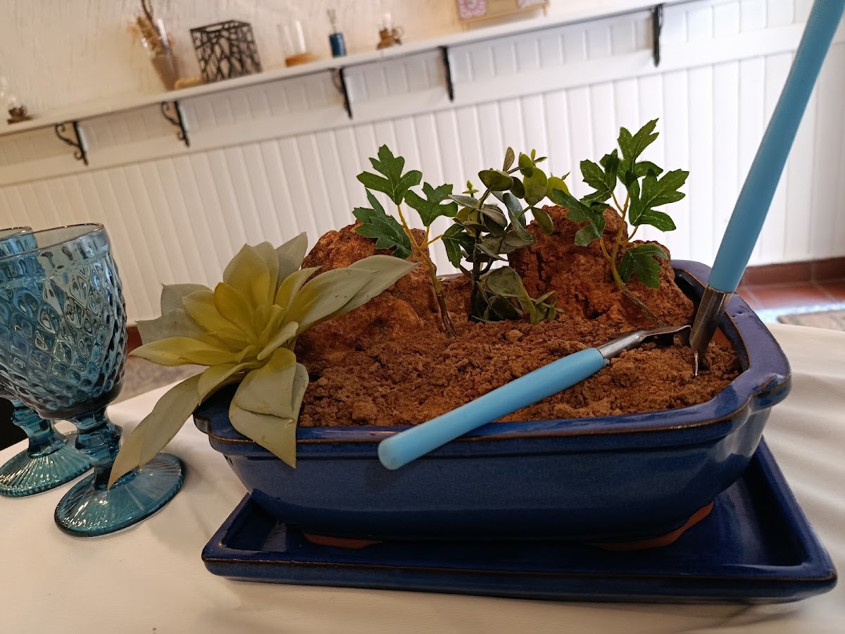 RESTAURANTE PIXAVÍ - Foto 3