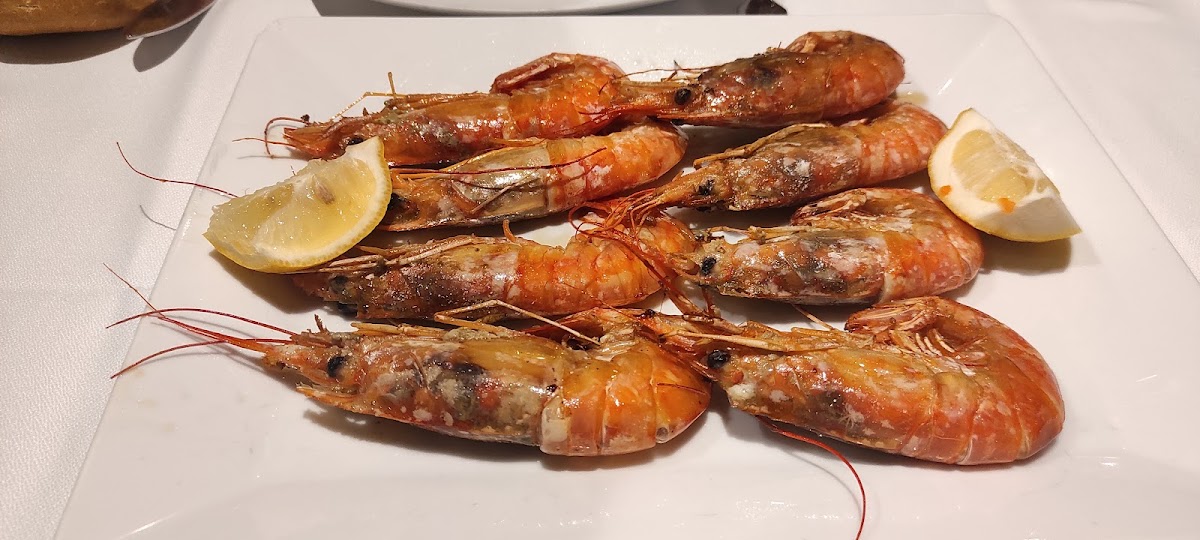 La Mar del Medio - Foto 3