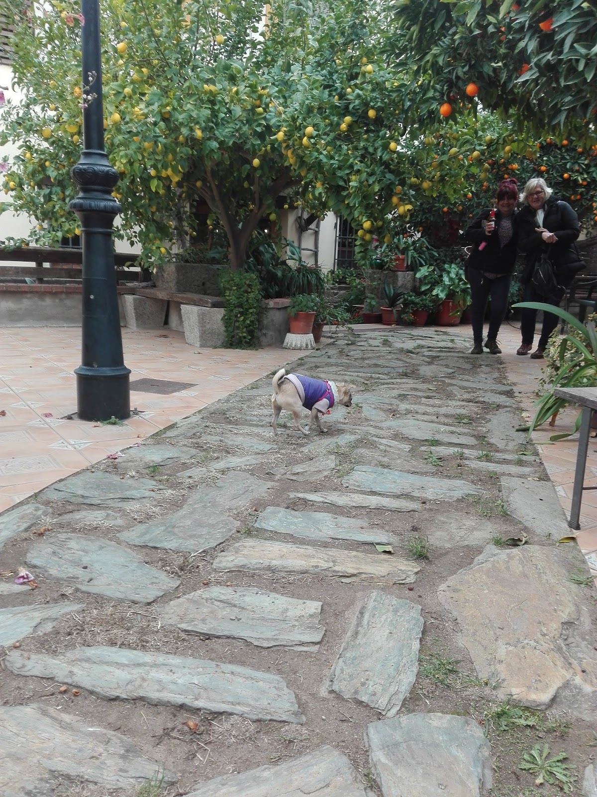 Casa Rural la Bodega del Herrador - Foto 4