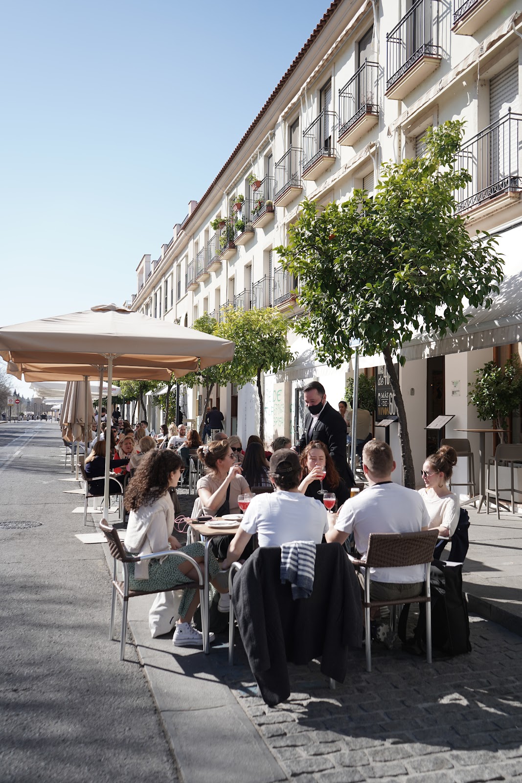 Bodegas Mezquita Ribera - Foto 1