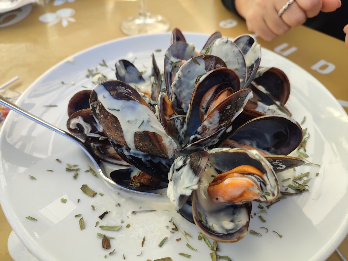 Restaurante Don Olivo (Lute y Jesús) - Foto 3