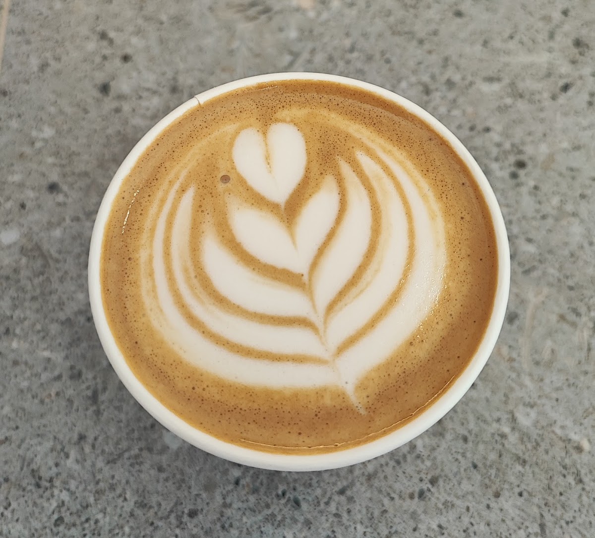 Next Level Specialty Coffee - Foto 4