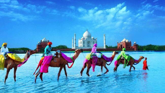 Royal Tandoori Indian Restaurant Palencia - Foto 3