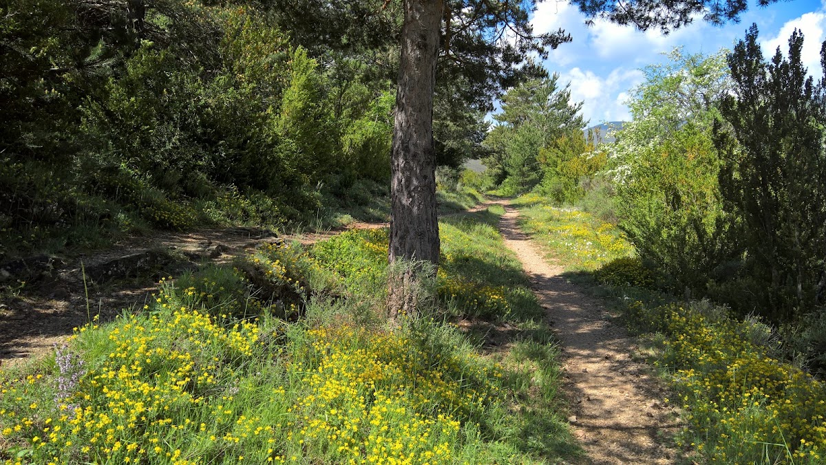 Casa Villacampa - Foto 3