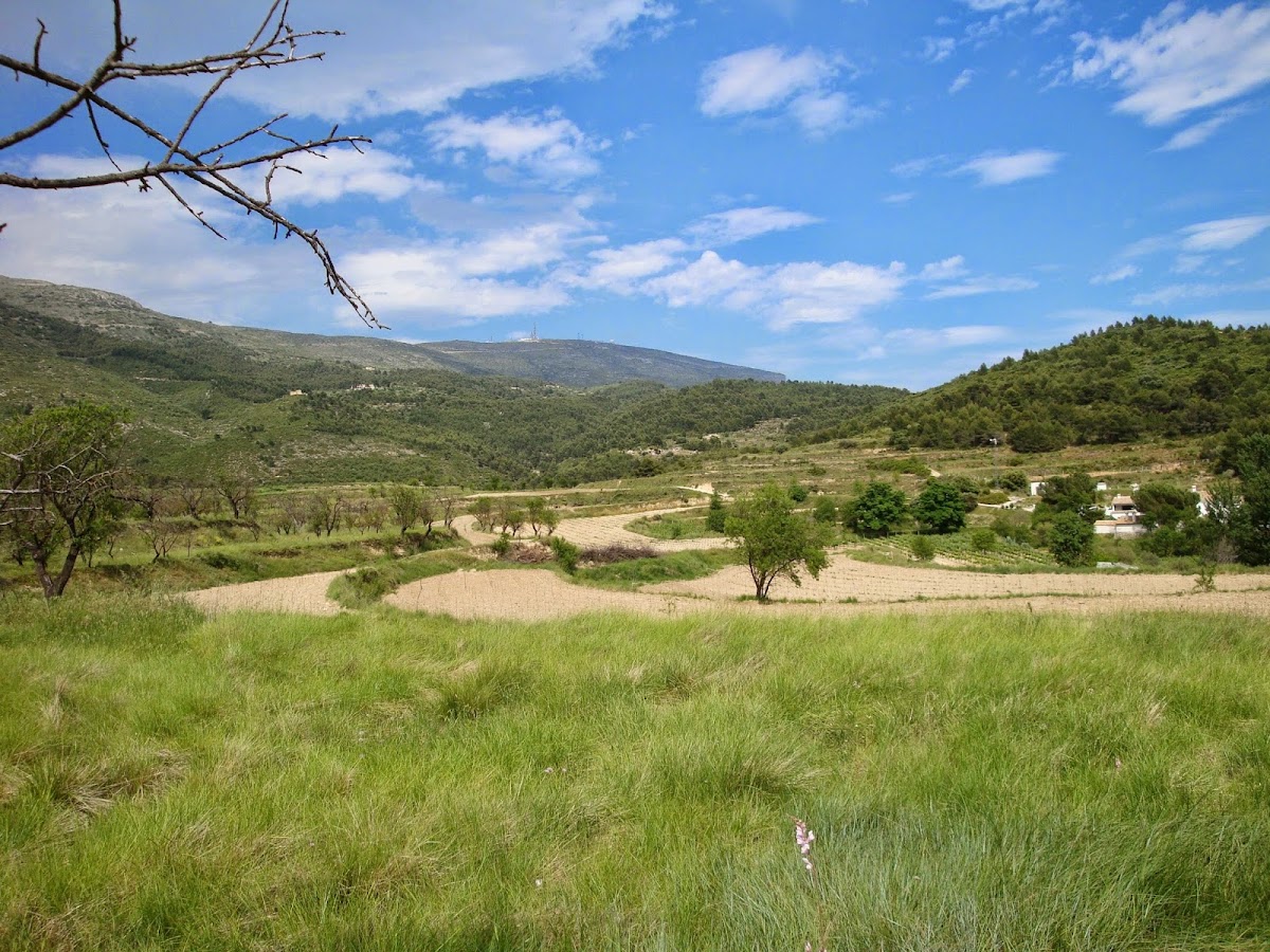 Finca Seguró Resort & Bodega - Foto 1