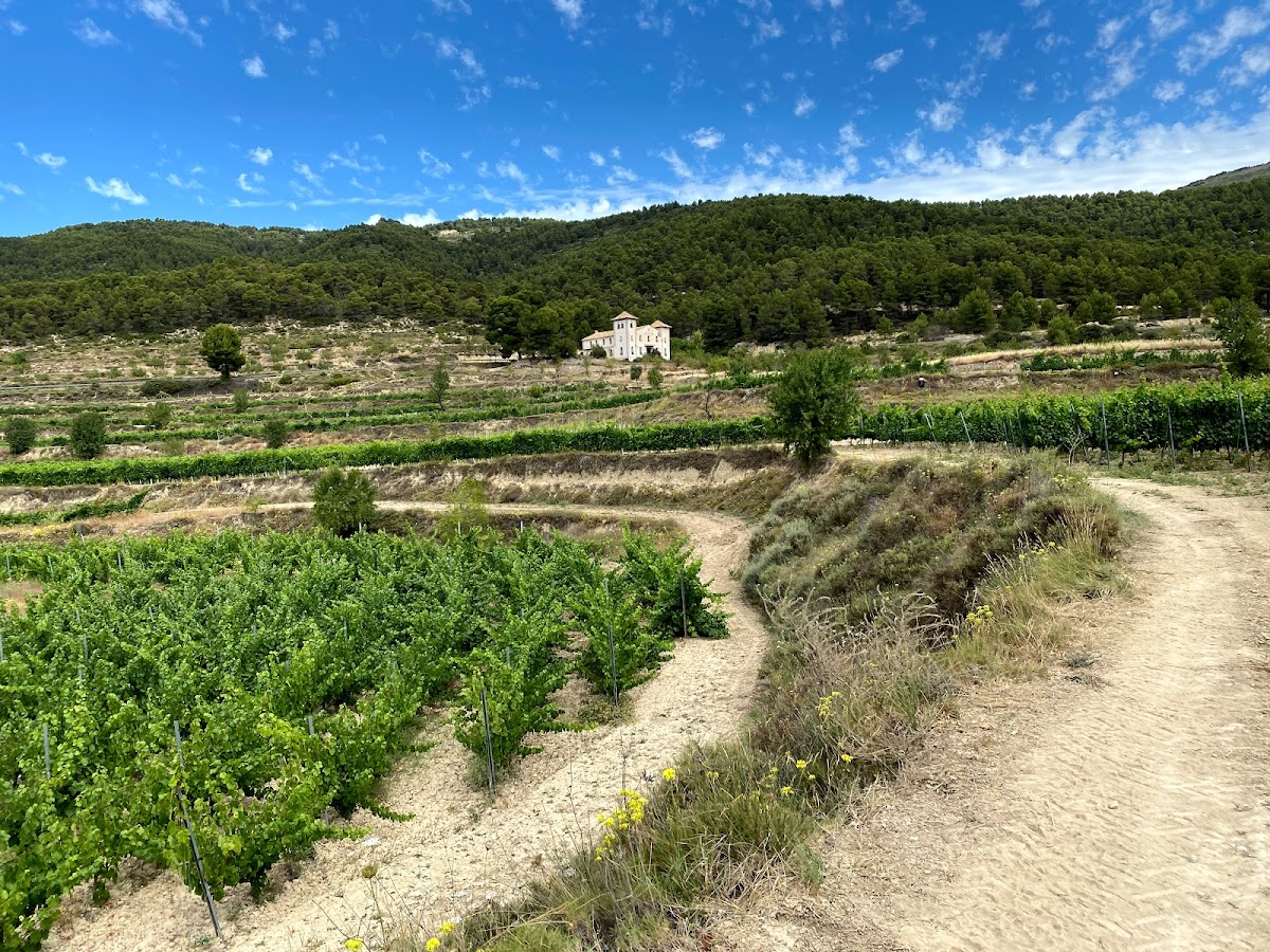 Finca Seguró Resort & Bodega - Foto 3