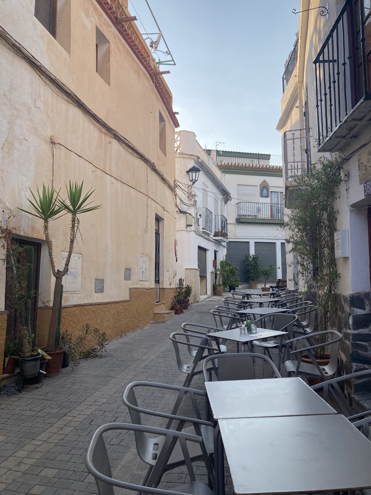 Pizza N Love Órgiva - Foto 5