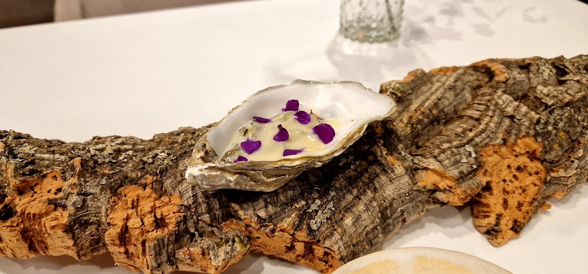 Restaurante Radis - Foto 5