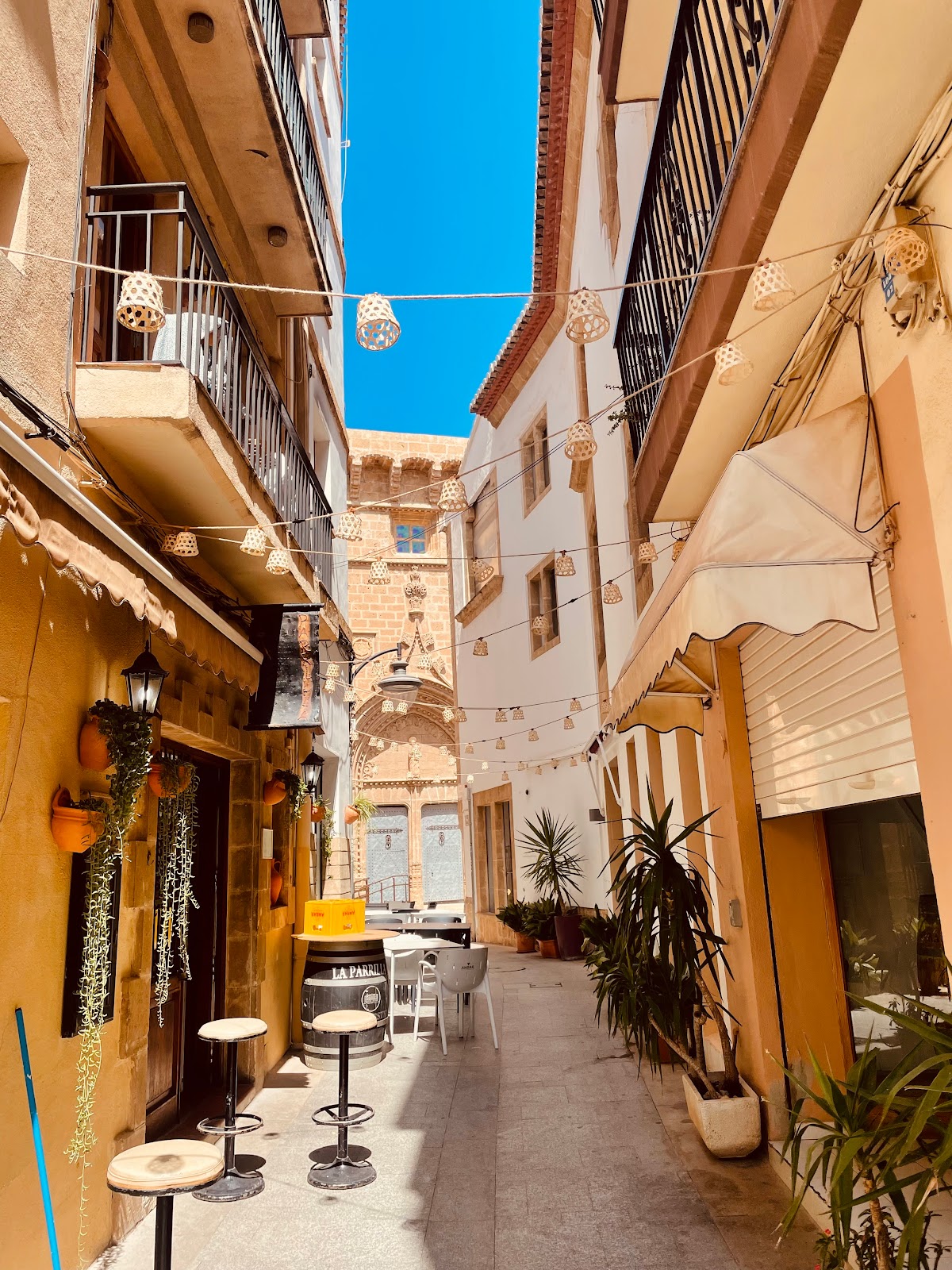 La Parrilla Del Celler - Foto 4