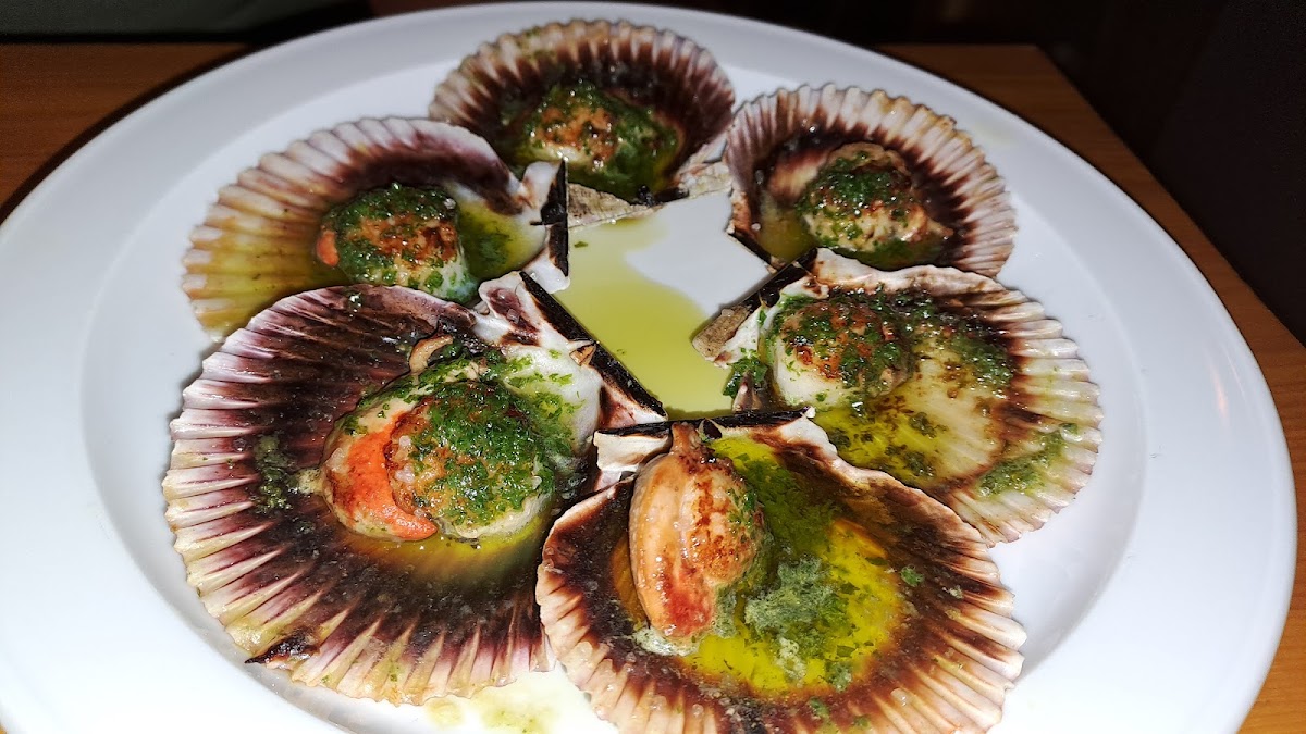 demamáluis - depapáluis - Foto 2