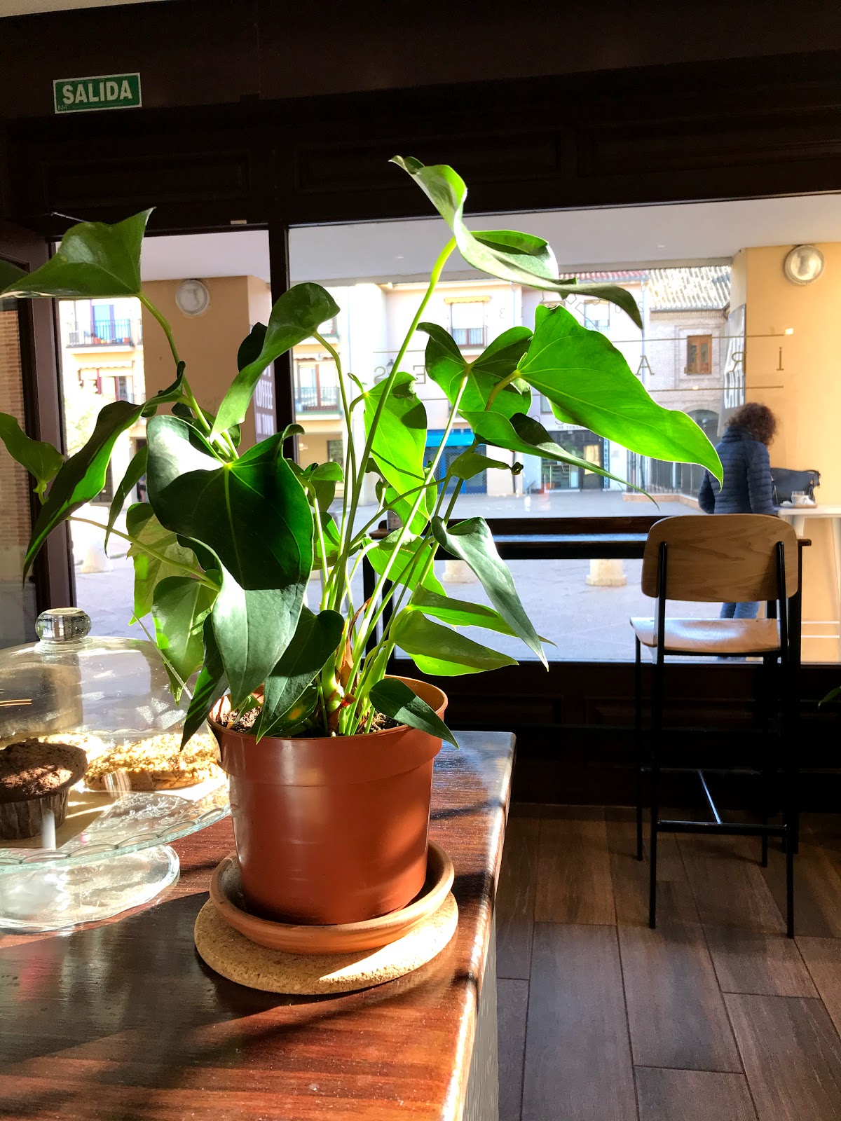 San Diego Coffee Co. Irlandeses - Foto 1