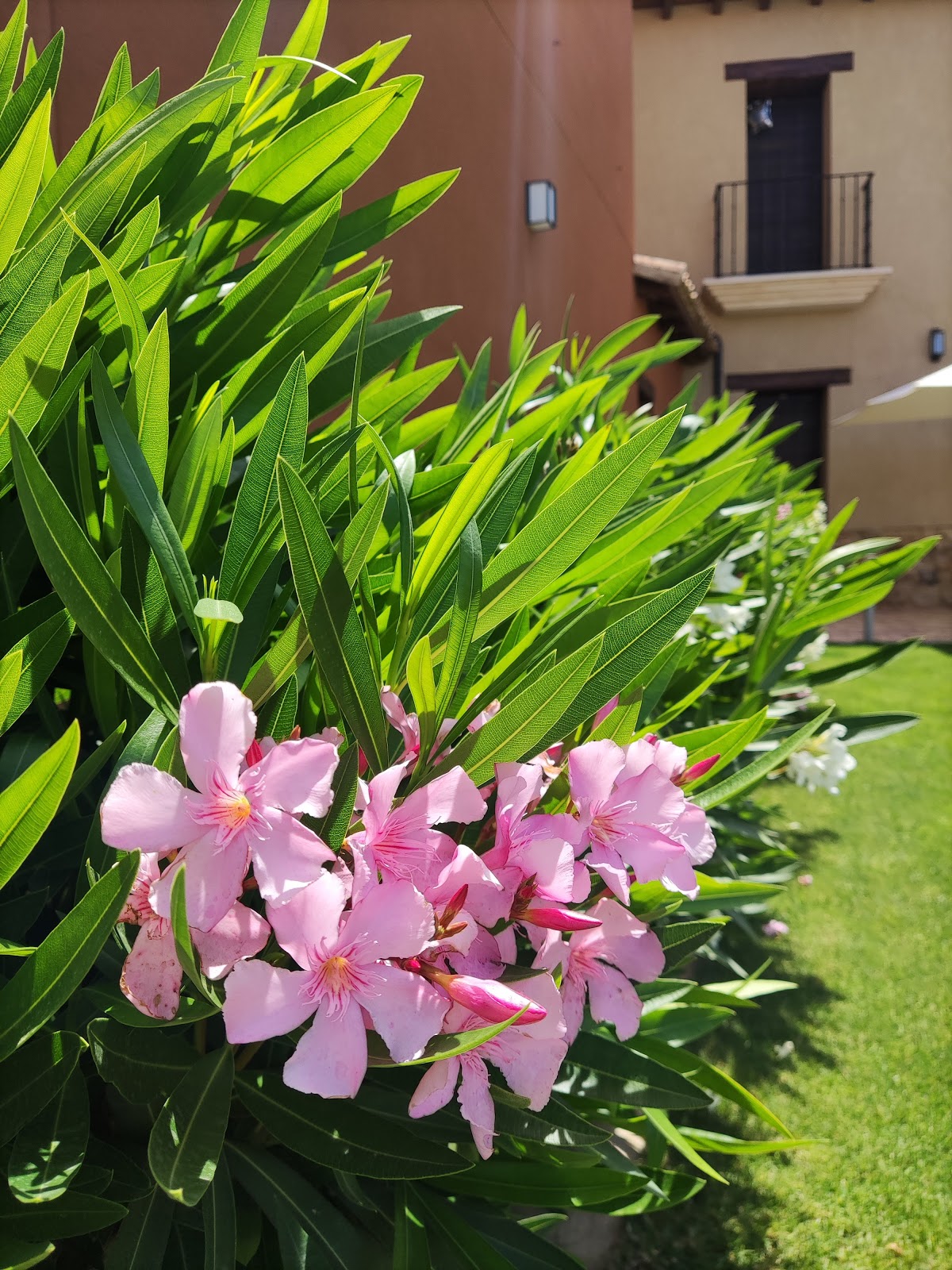 Sanmartina Hotel - Foto 4