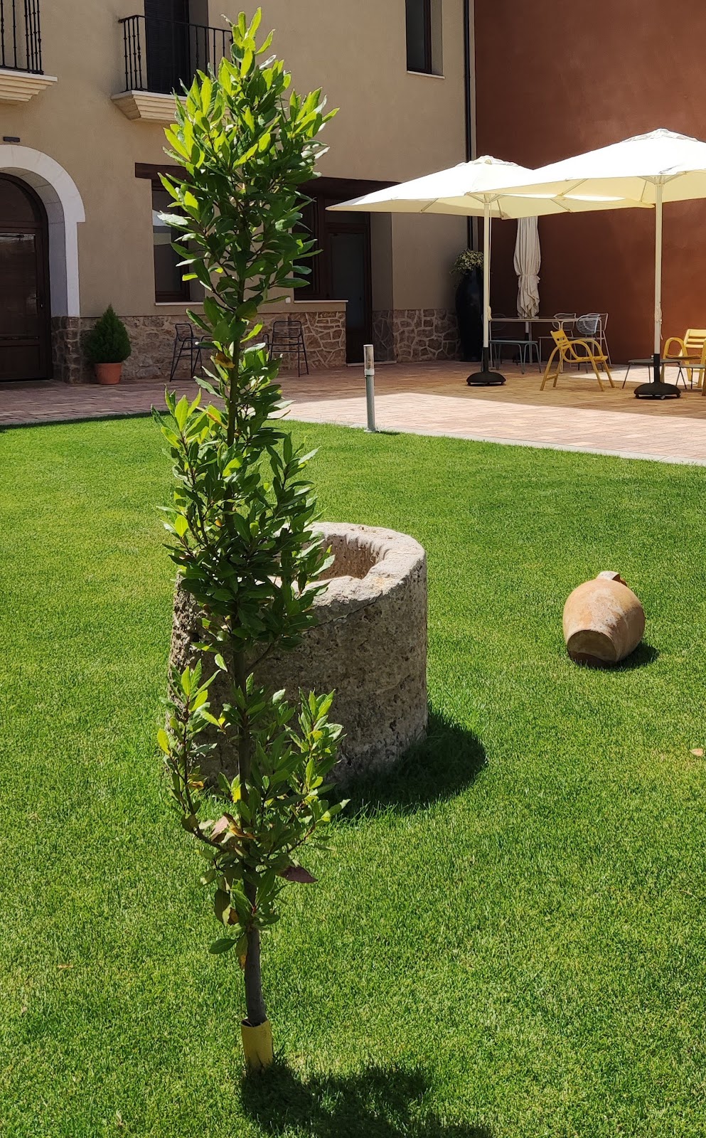 Sanmartina Hotel - Foto 5