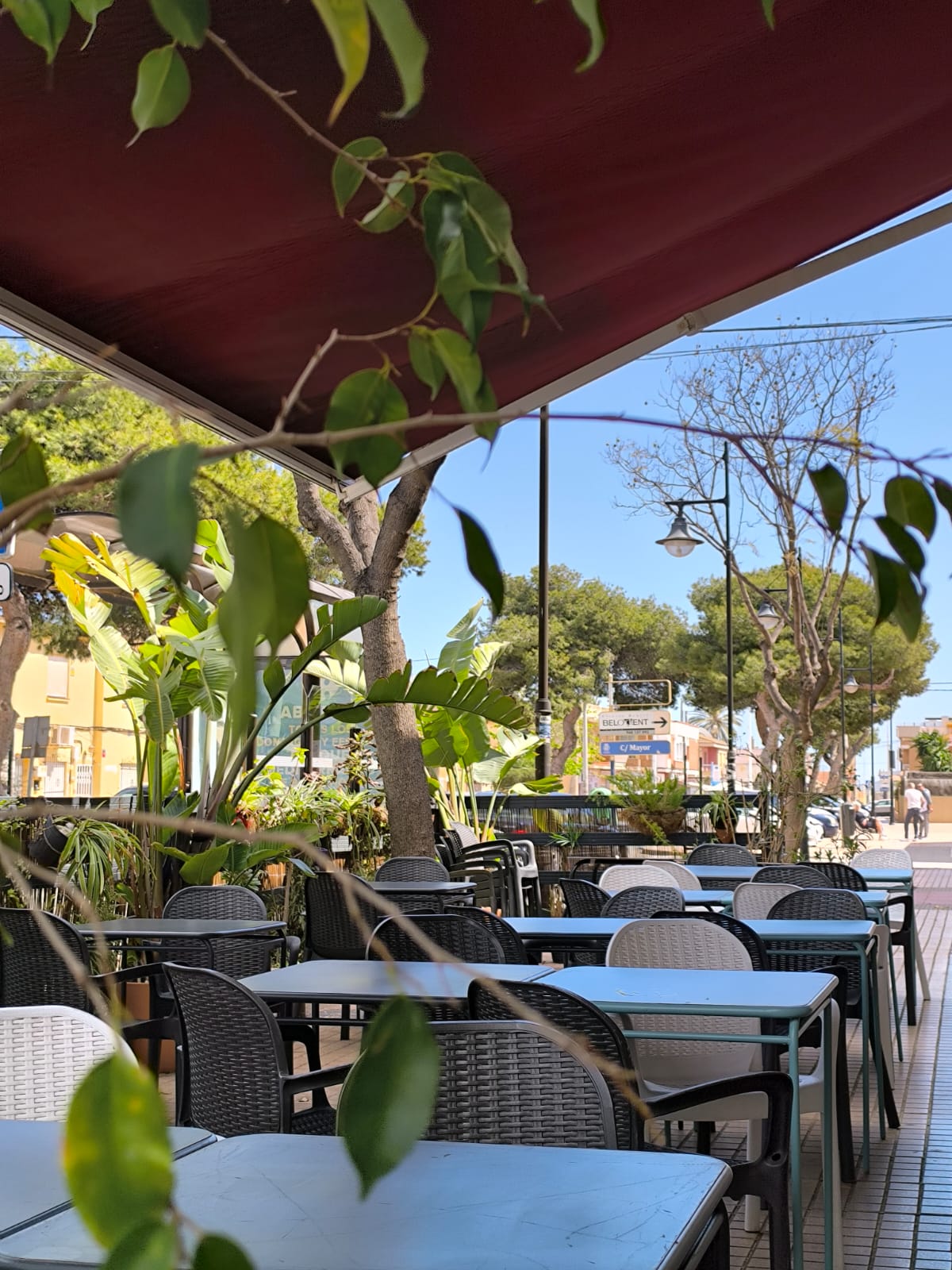 los osos golosos - Foto 1