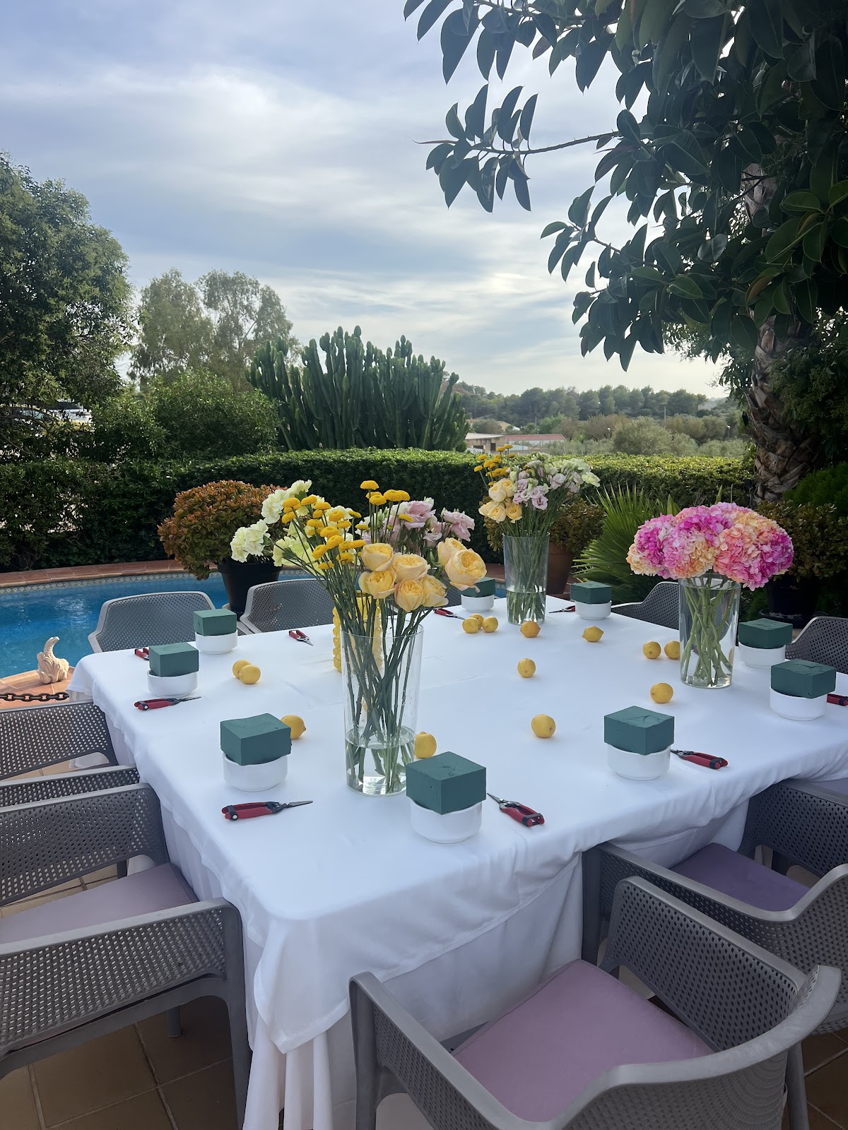 il Giardino Nova Bussola - Foto 5