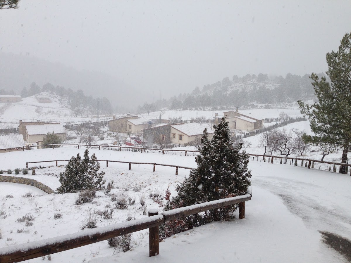 Casa Barriga - Foto 5