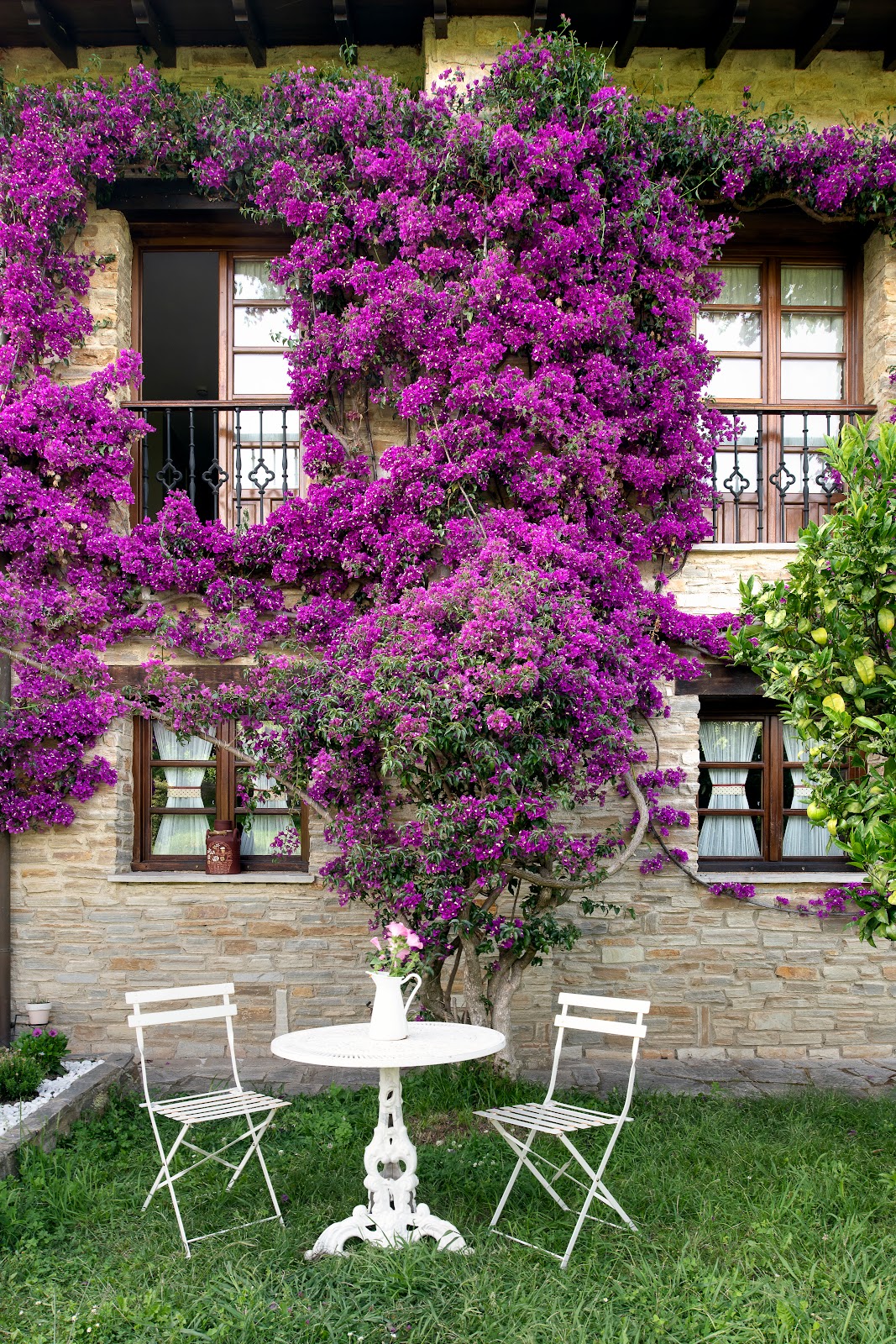 Hotel Rural Casona de Cefontes - Foto 4