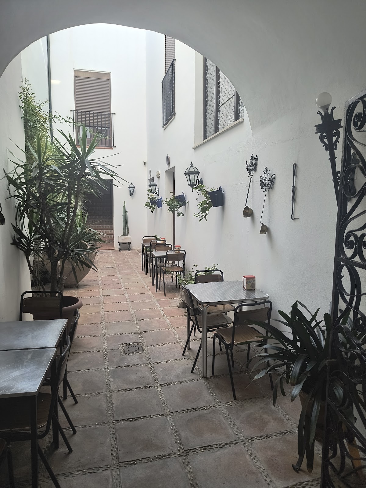 Bodegas Mezquita Céspedes - Foto 2