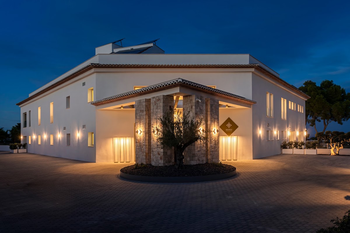 Dionis Hotel Boutique
