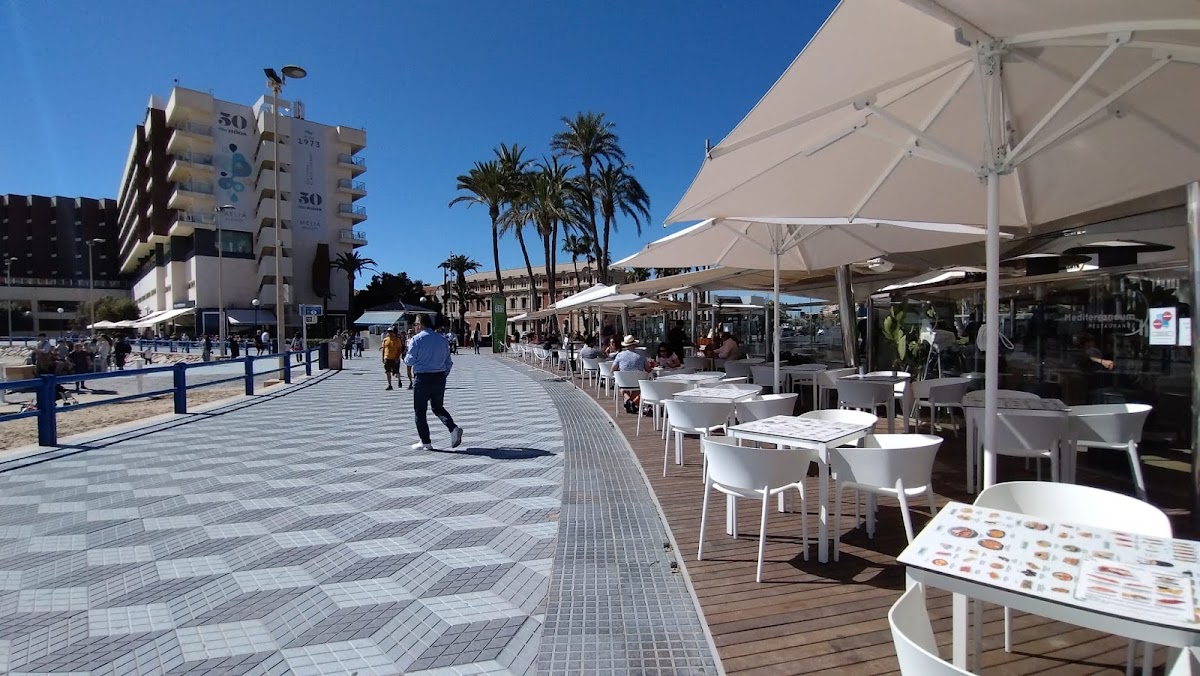 Restaurante Mediterraneum - Alicante