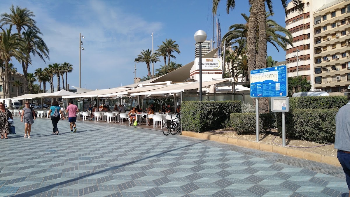 Restaurante Mediterraneum - Alicante - Foto 4