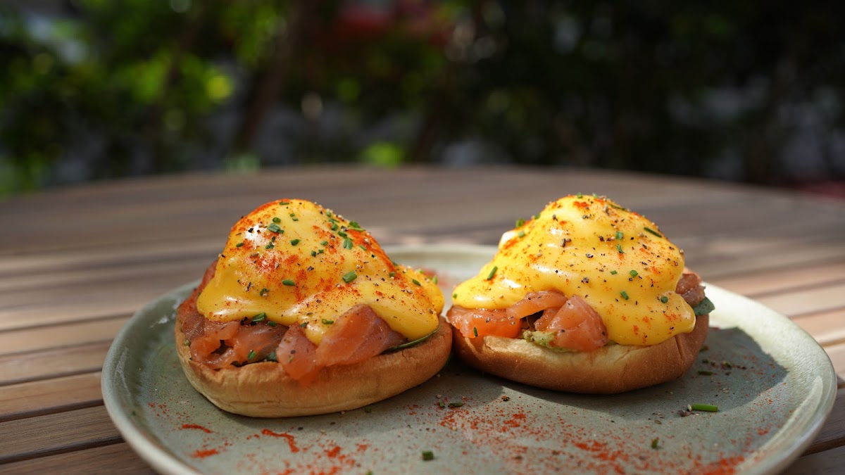 Corgi Cafe | Sagrada - Foto 2