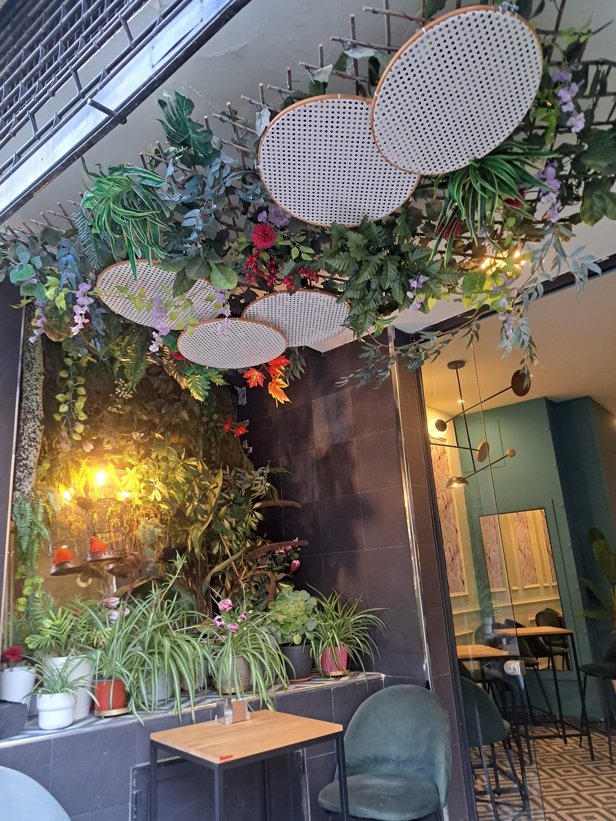 Domo Delaire - Foto 5