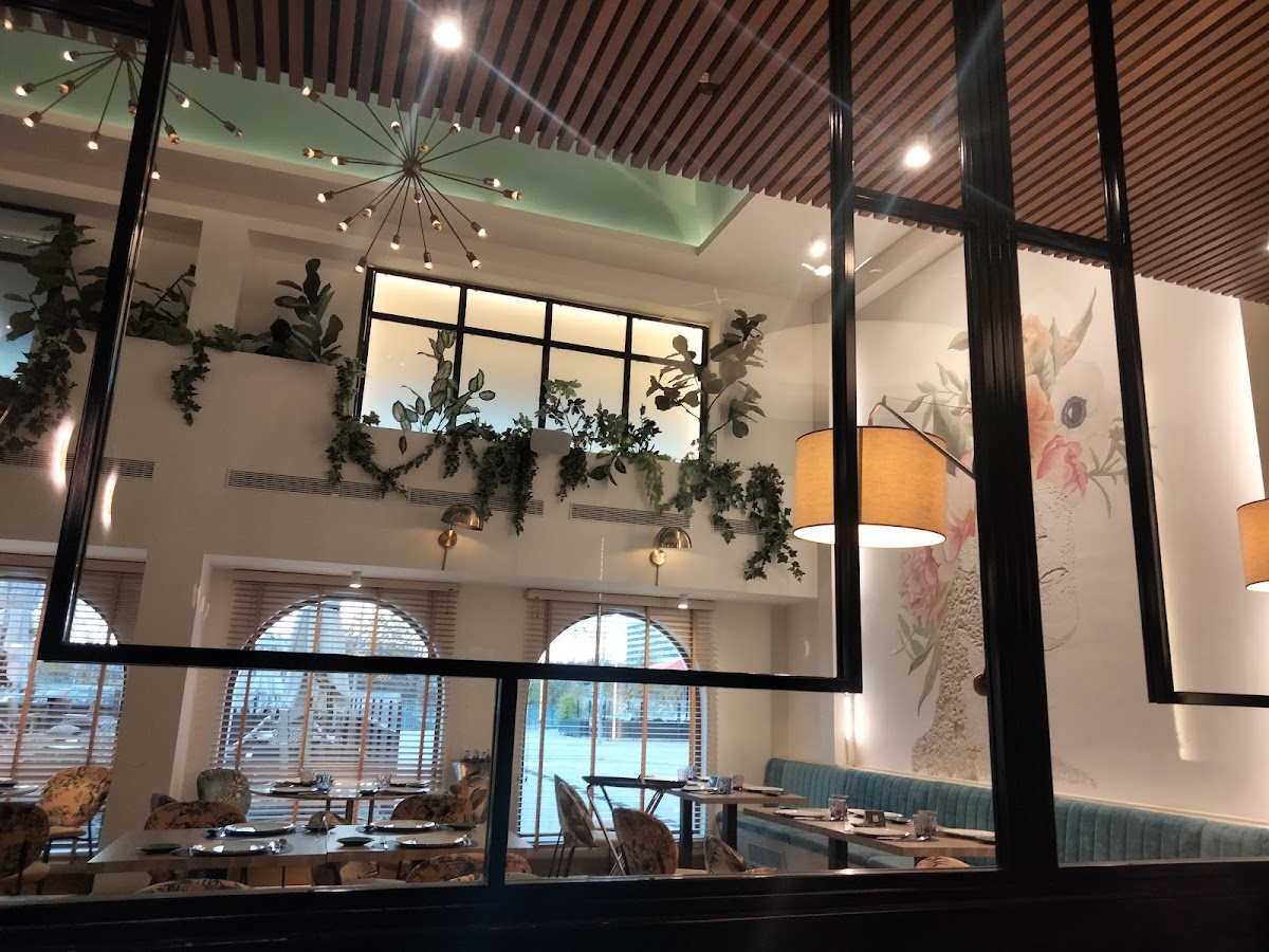 Divina Locura - Foto 4