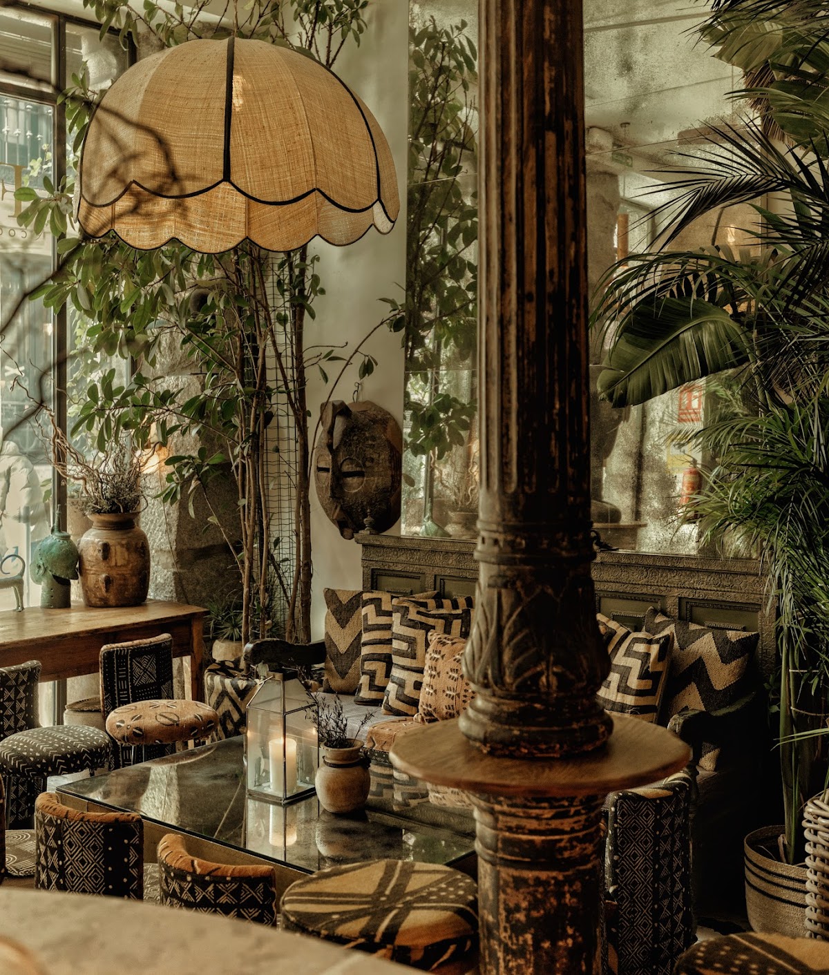Ficus Bar
