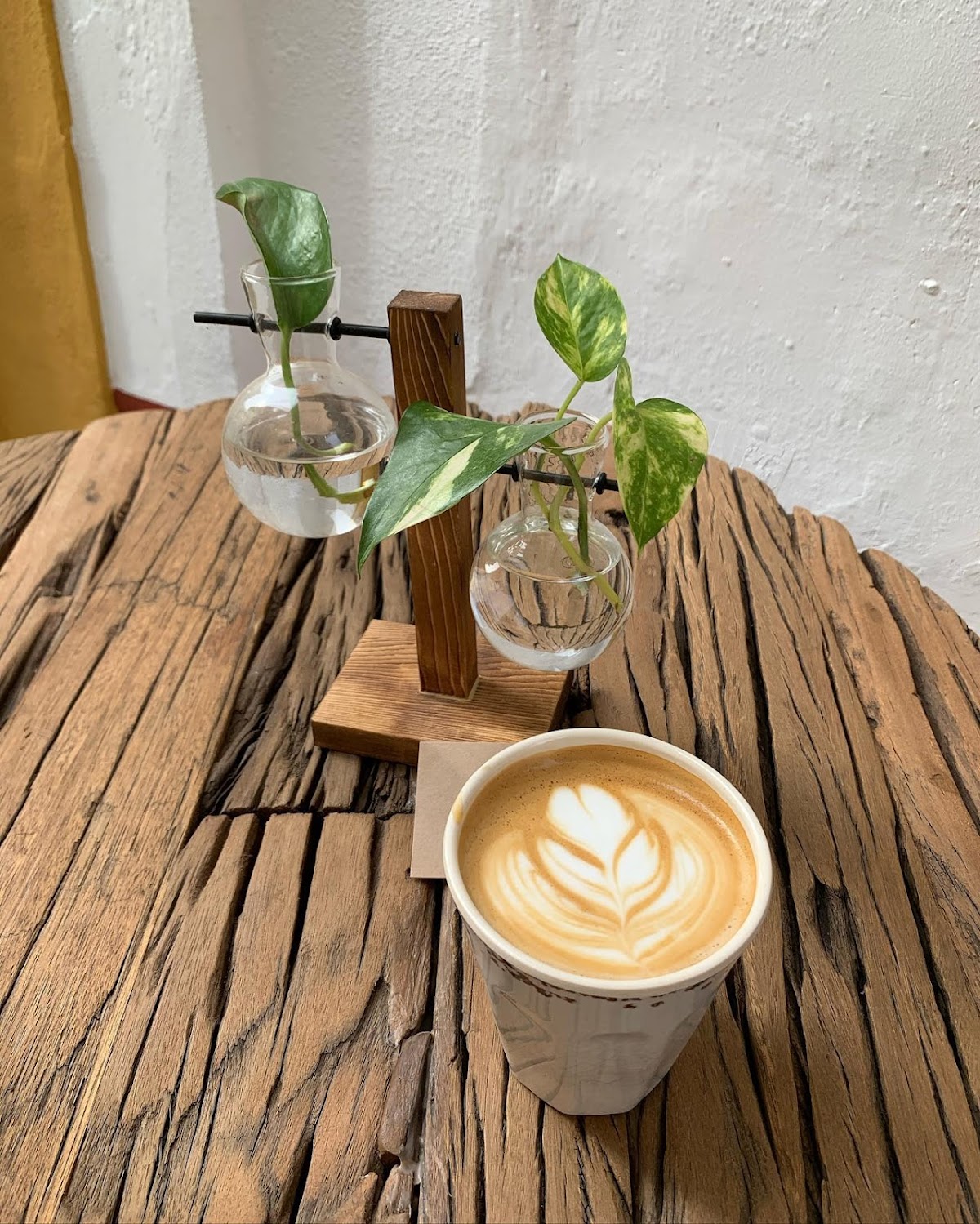 Delatribu Specialty Coffee - Foto 2