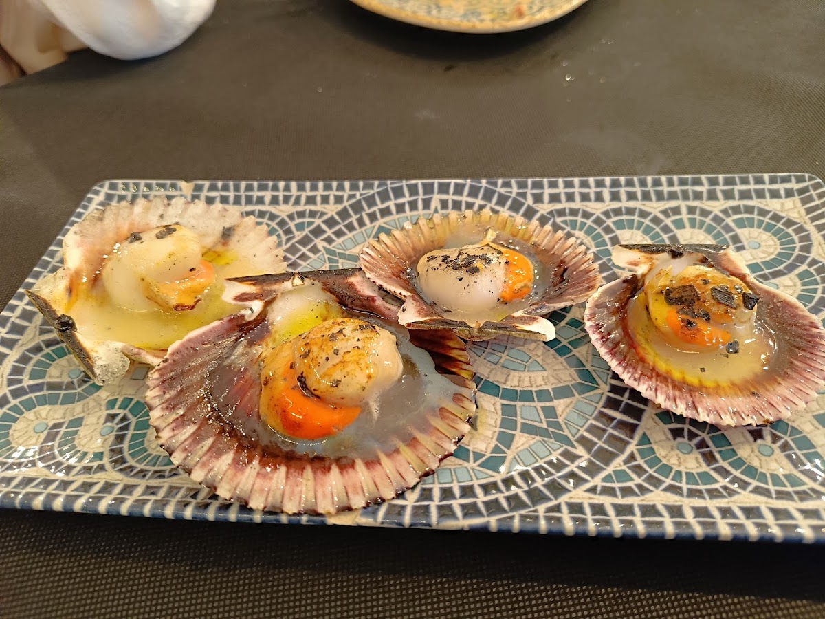 MalaBarraca - Foto 5