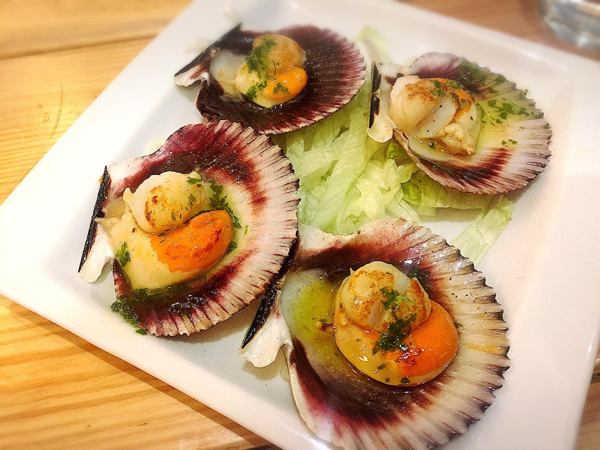 Casa Rafael vinos y tapas - Foto 2