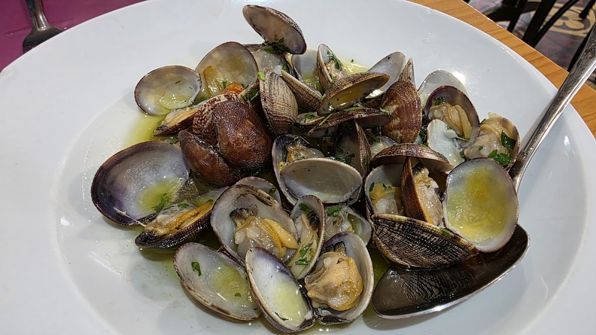 Casa Rafael vinos y tapas - Foto 5