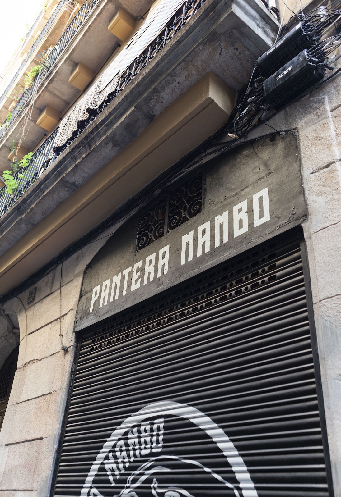 Pantera Mambo Barcelona - Foto 1