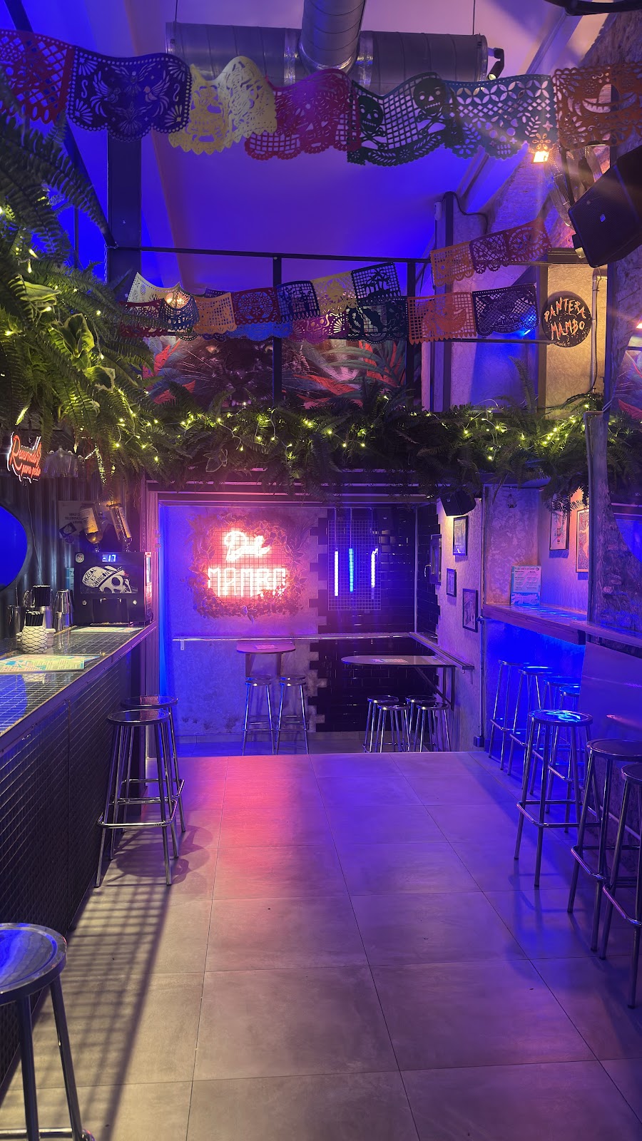 Pantera Mambo Barcelona - Foto 5