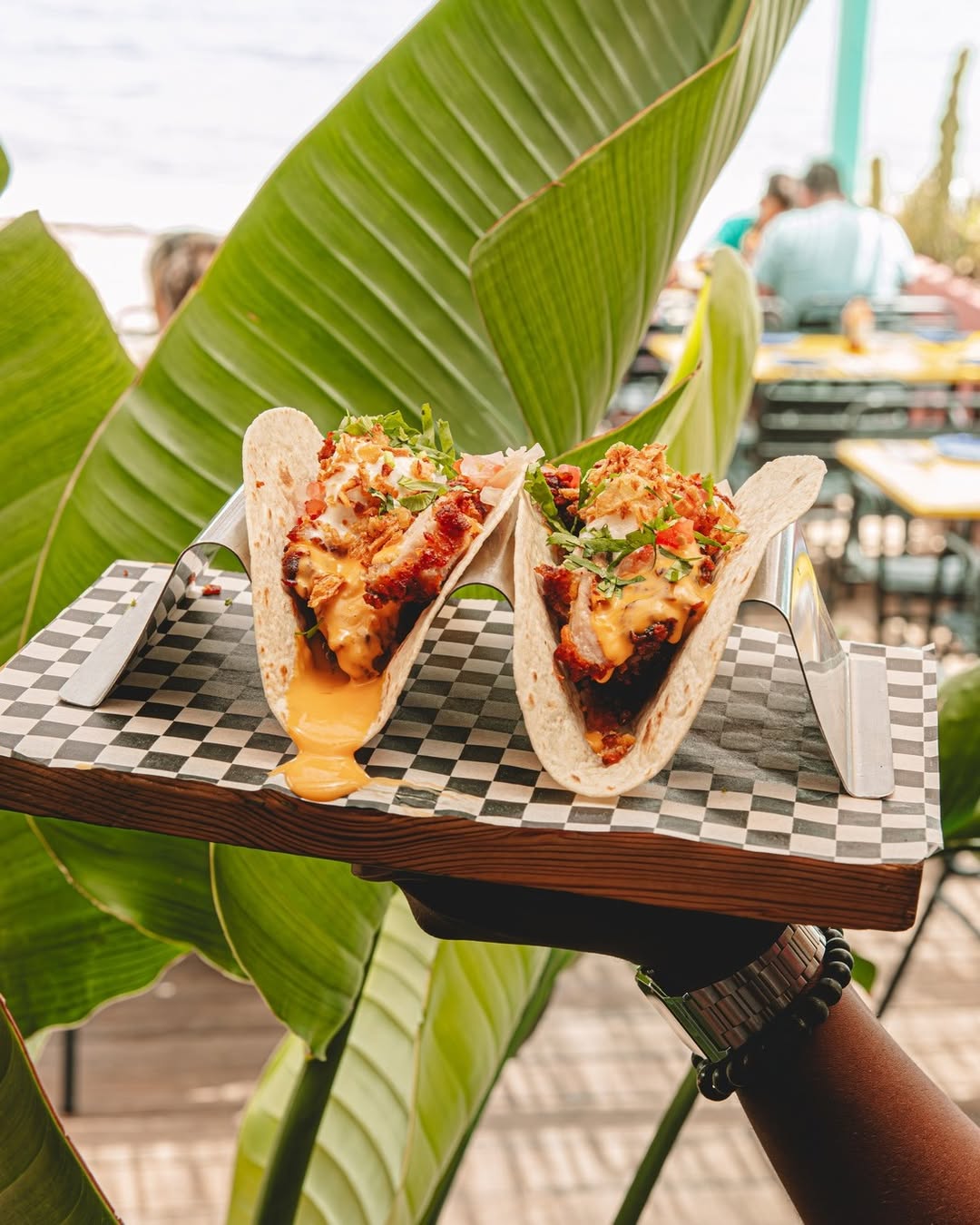 Canalla Tacos y Tragos - Foto 2