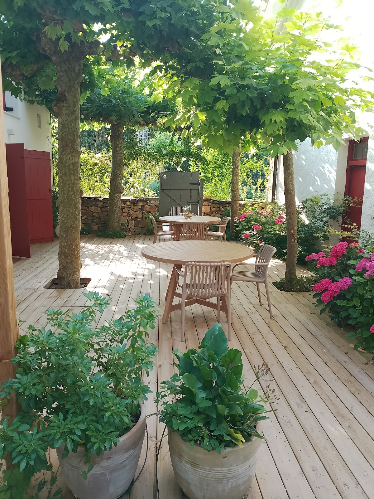 Venta de Arrieta - Foto 3