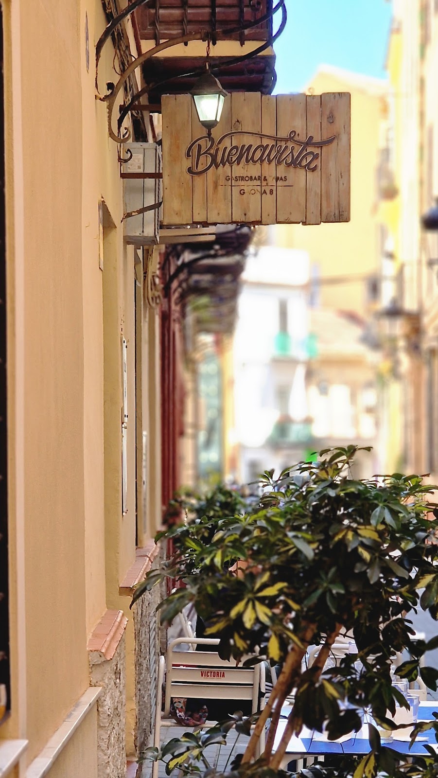 Buenavista Gastrobar - Foto 1