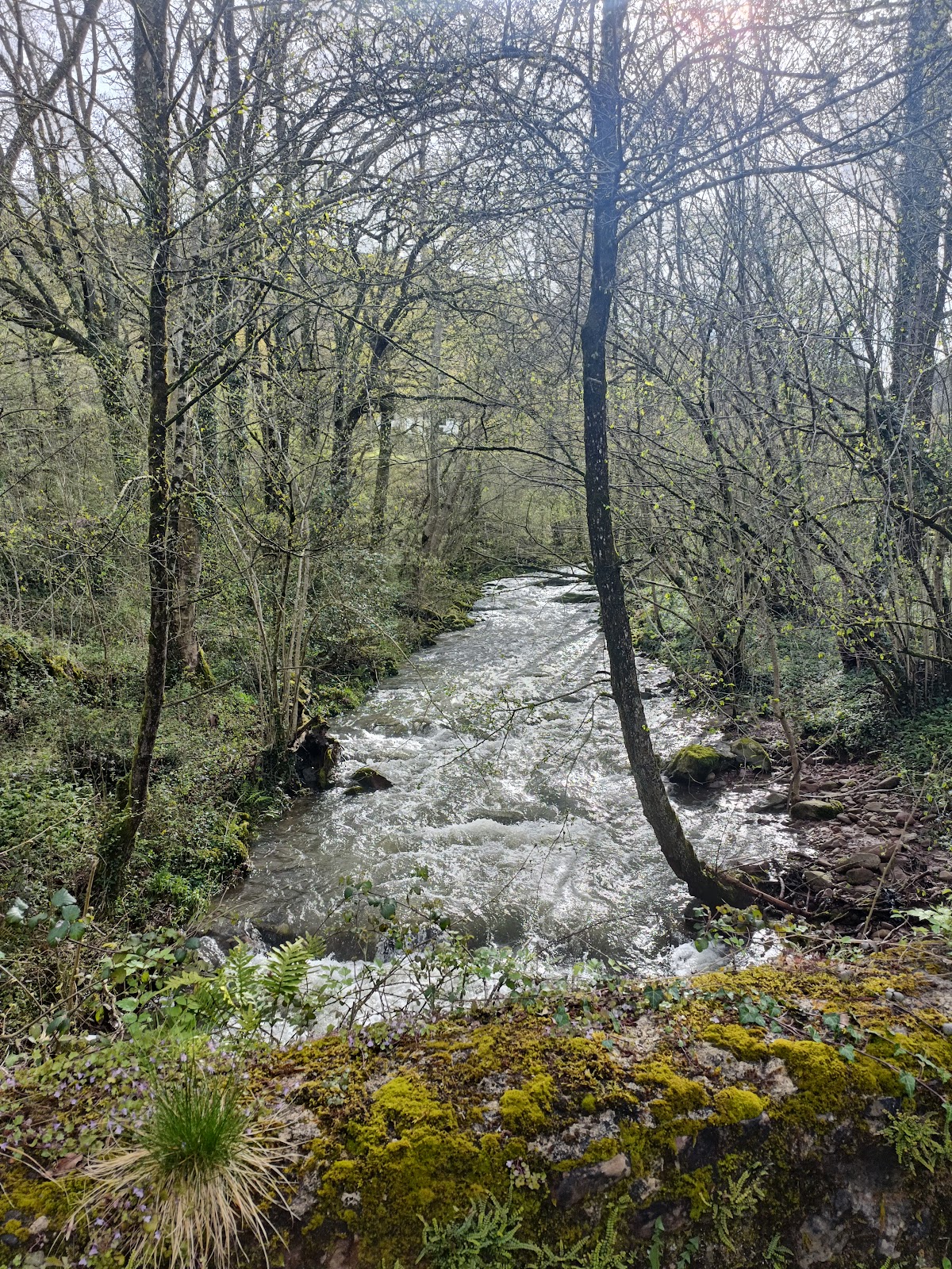 Itzalargikoborda - Foto 4