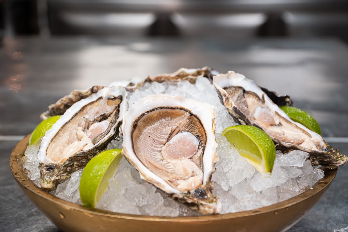 Corales Javea - Foto 5