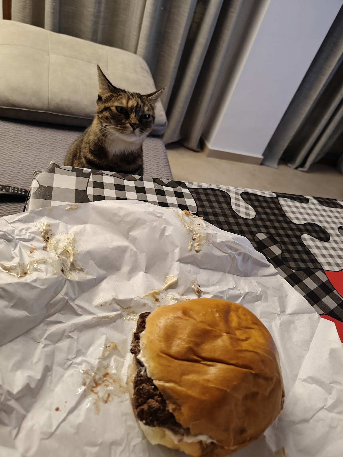 Freddy´s Burger - Foto 2