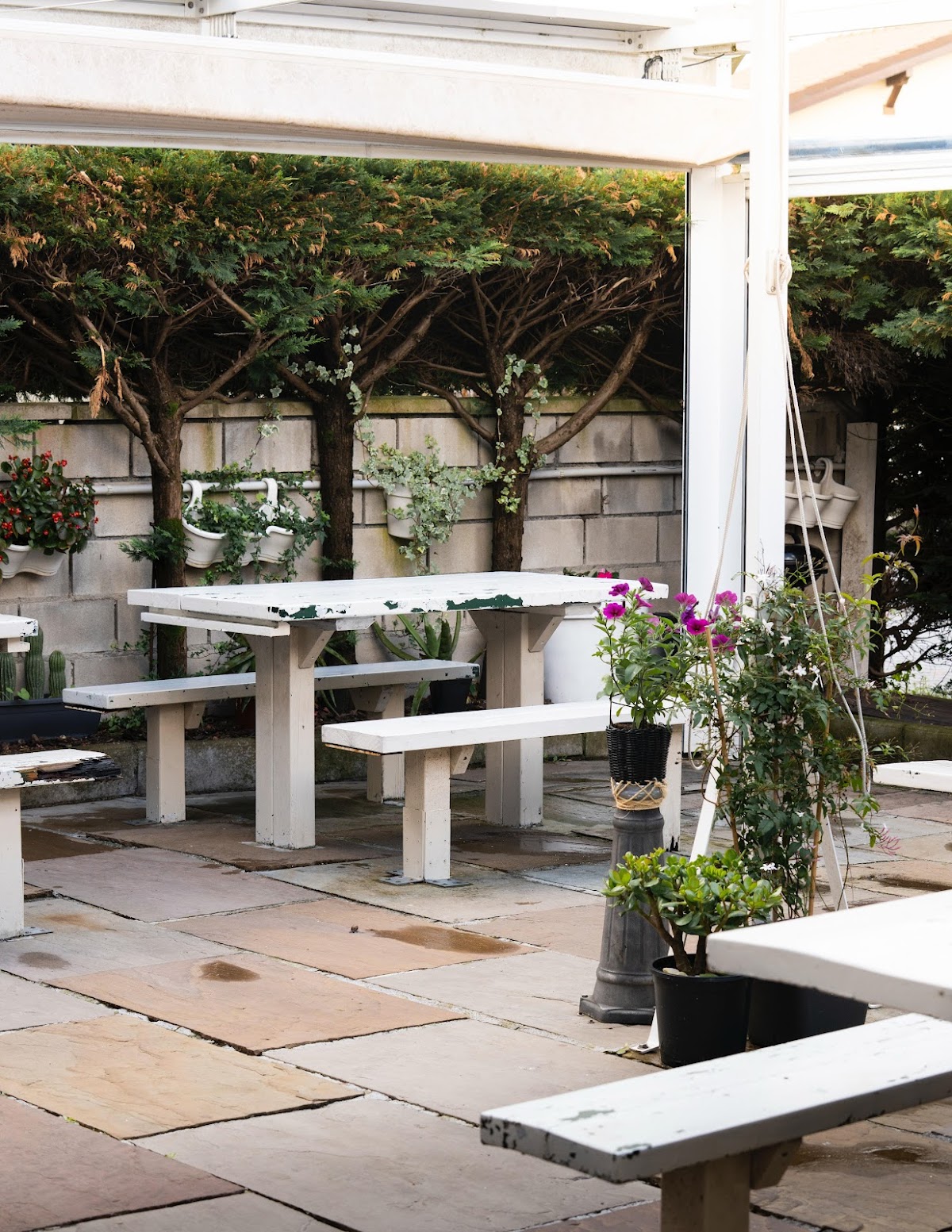 Restaurante La Yerbita - Foto 1