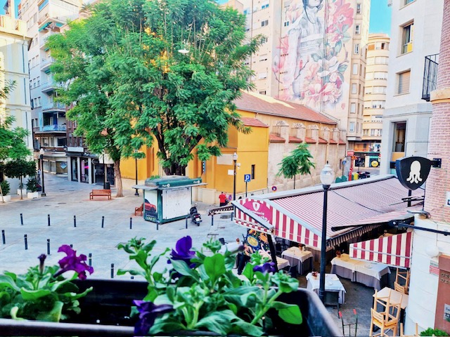 Alojamientos Fenix MURCIA - Foto 1