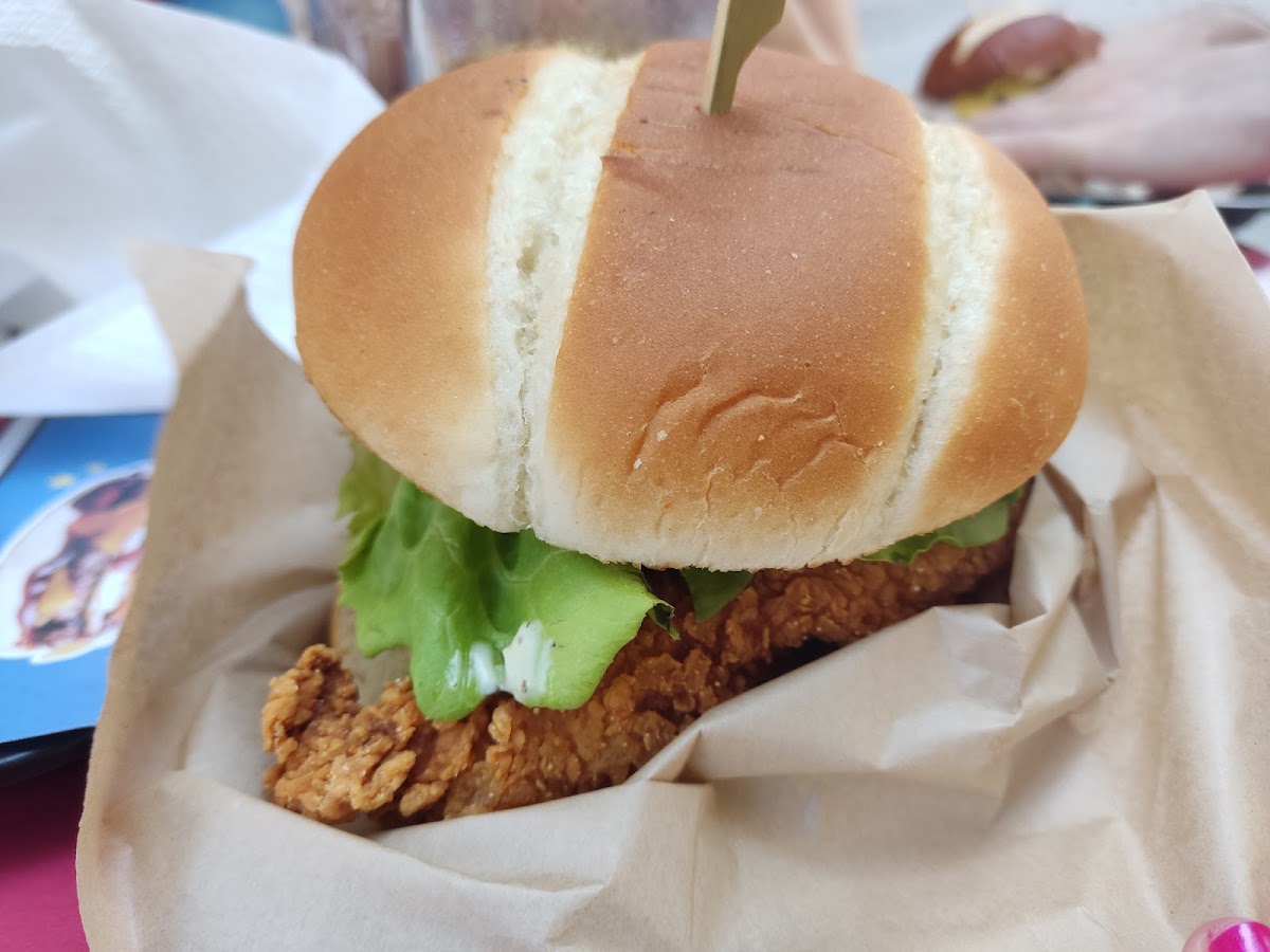 My burg cerró - Foto 4